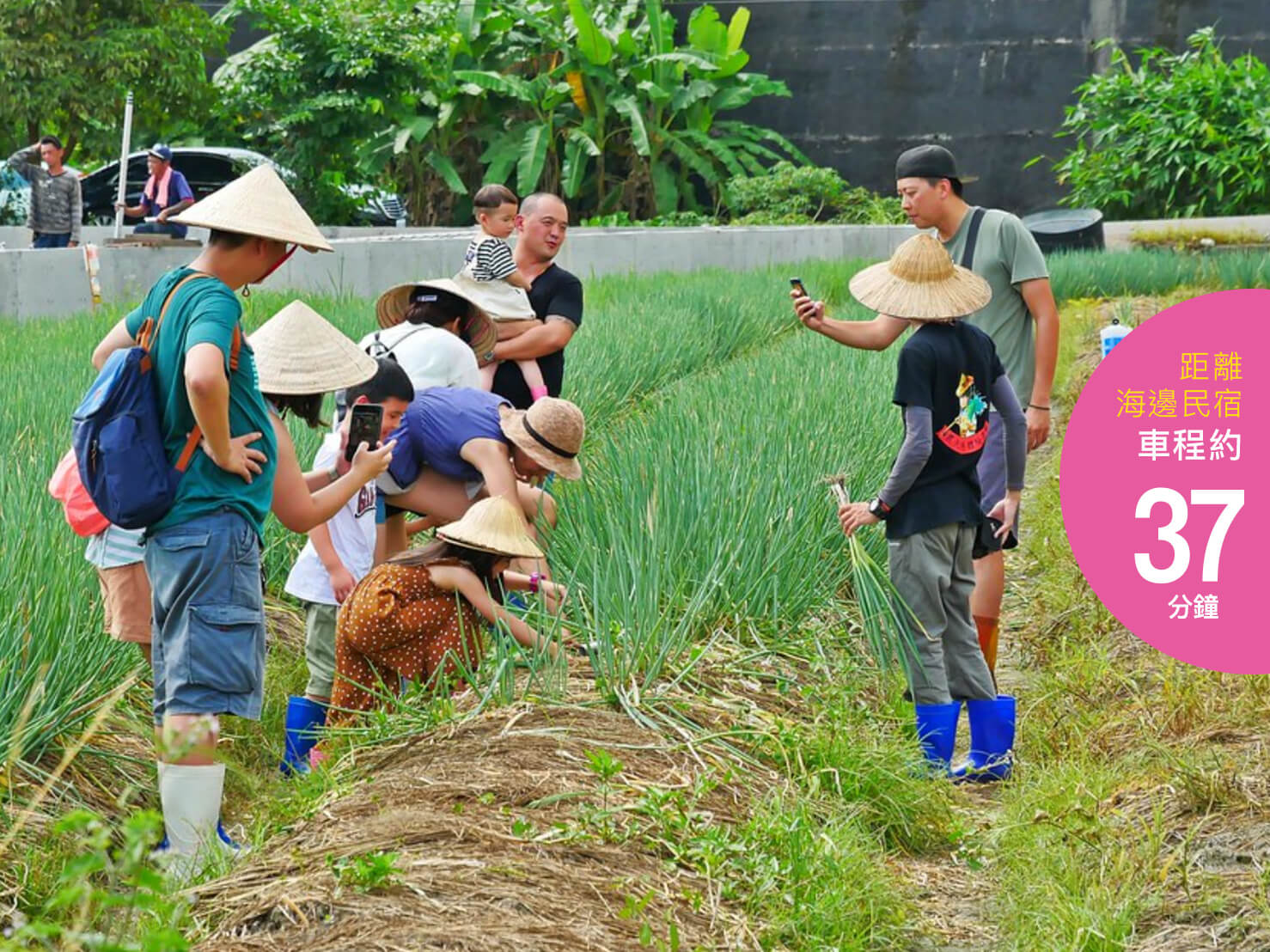 農夫青蔥體驗農場